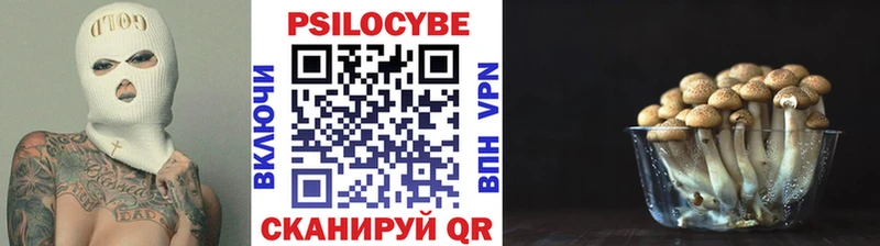 Псилоцибиновые грибы Magic Shrooms сайты даркнета наркотические препараты Тюмень