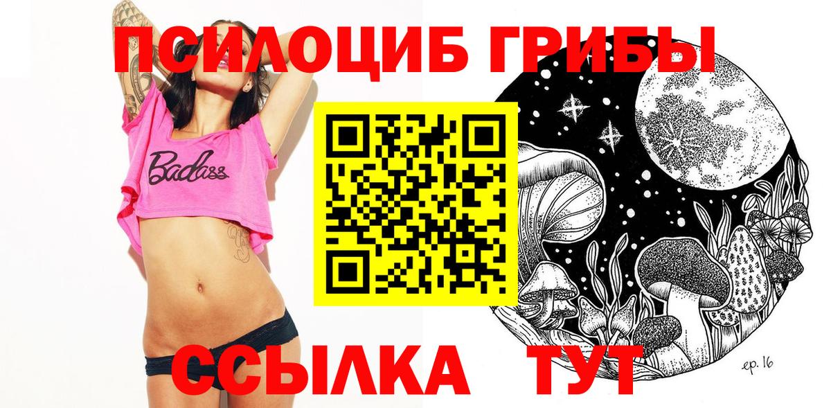 дарнет шоп  Вход с VPN  Тюмень  Галлюциногенные грибы Psilocybine cubensis 