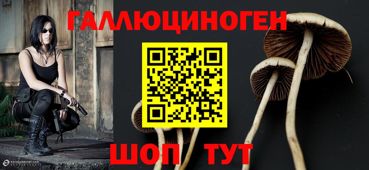 Галлюциногенные грибы Cubensis Тюмень